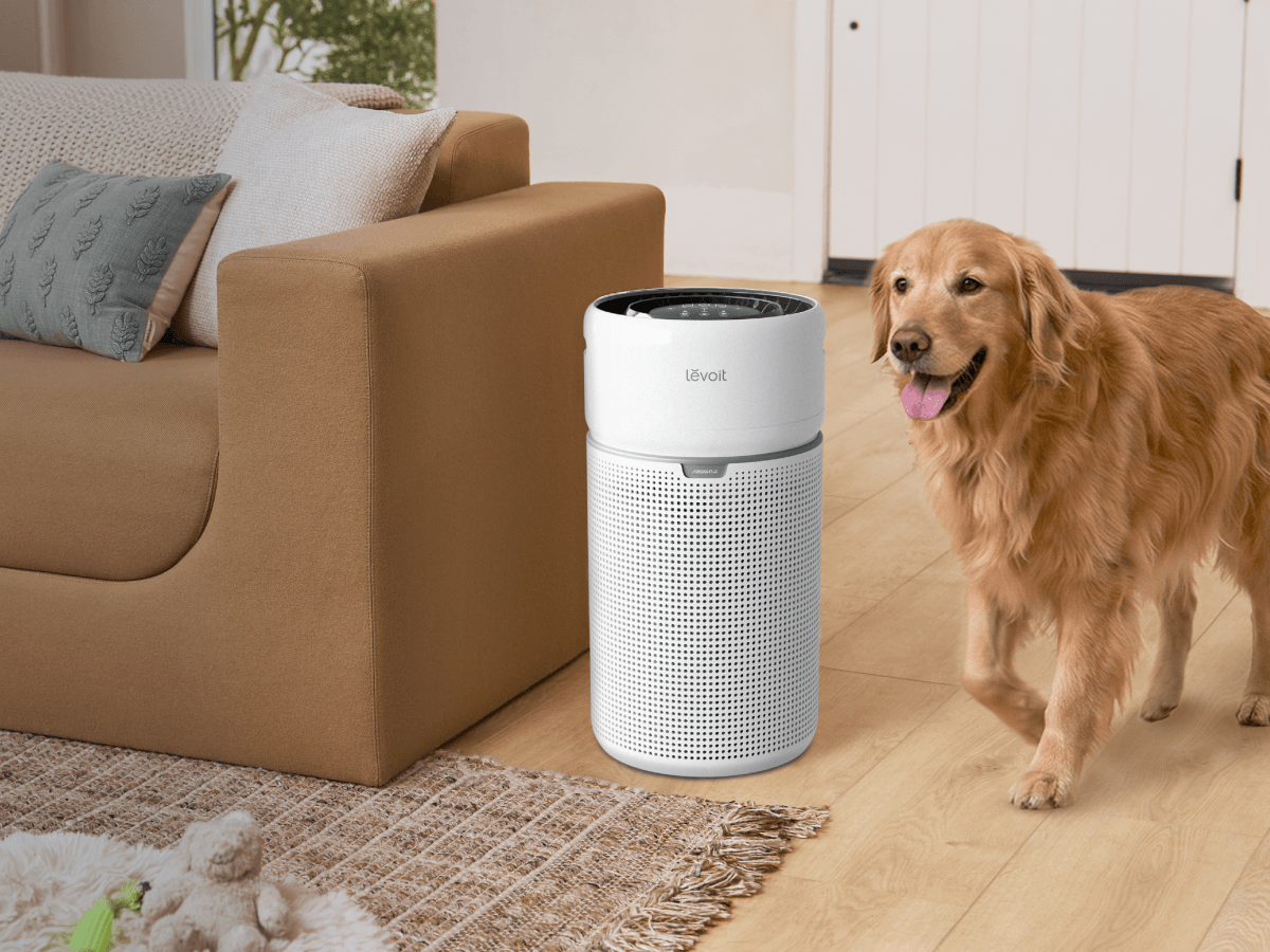 The Ultimate Guide to Air Purifiers for Allergens & Pets - Levoit