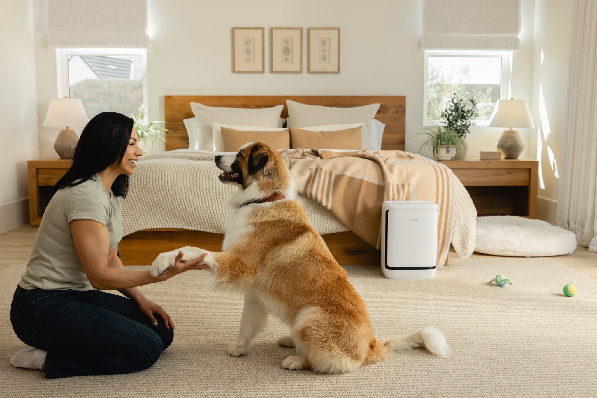 The Ultimate Guide to Air Purifiers for Allergens & Pets - Levoit