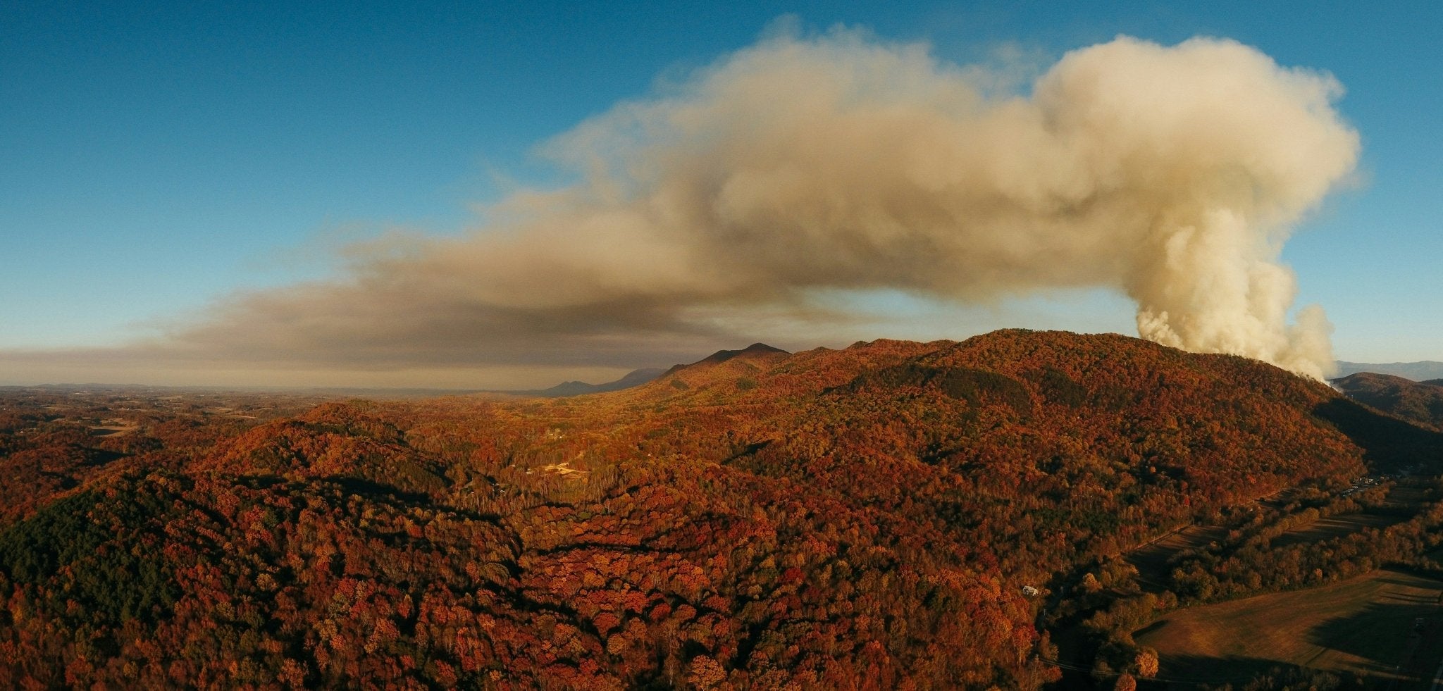 Tips To Help Protect Yourself From Wildfire Smoke - Levoit