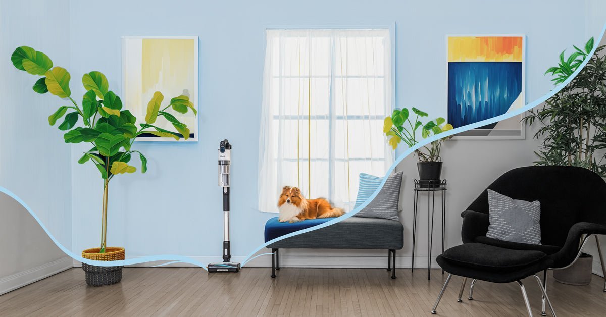 Tips & Tricks for Maximizing Your Vacuum This Spring - Levoit