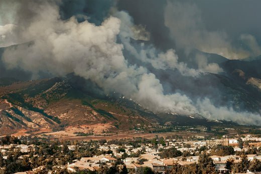 Understanding the Impact of Wildfire Smoke - Levoit