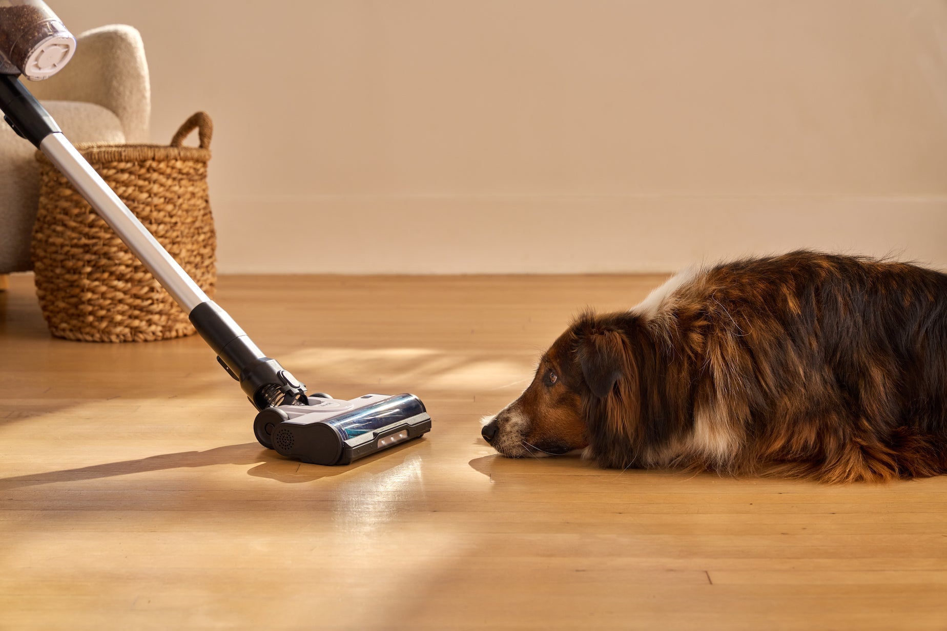 Vacuum Cleaner for Animal Hair: Multi-Pet Household Solutions - Levoit