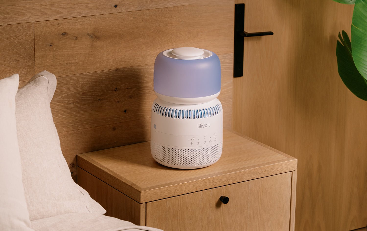 What Water is Best for Your Humidifier? A Guide to Evaporative vs. Ultrasonic Models - Levoit