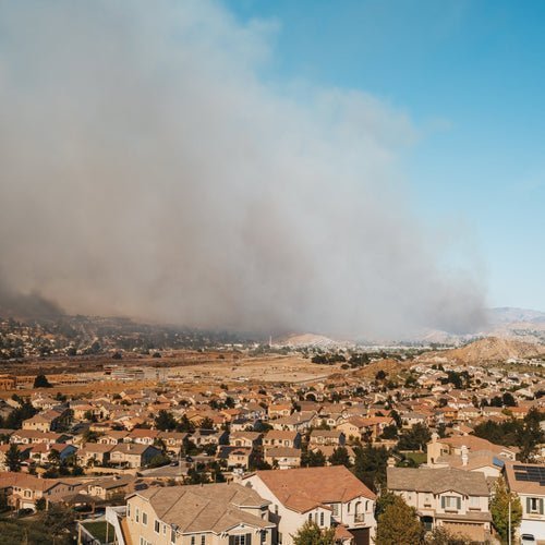 Wildfire Preparedness 101 - Levoit