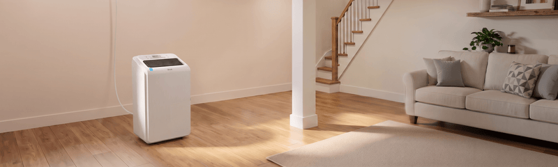 Dehumidifier - Levoit