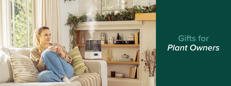 Gifts for Plant Parents - Levoit