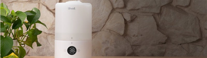 Humidifiers 1 Gallon - Levoit