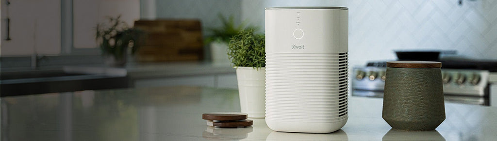 LEVOIT outlet Air Purifiers for Home Large Room (L2)