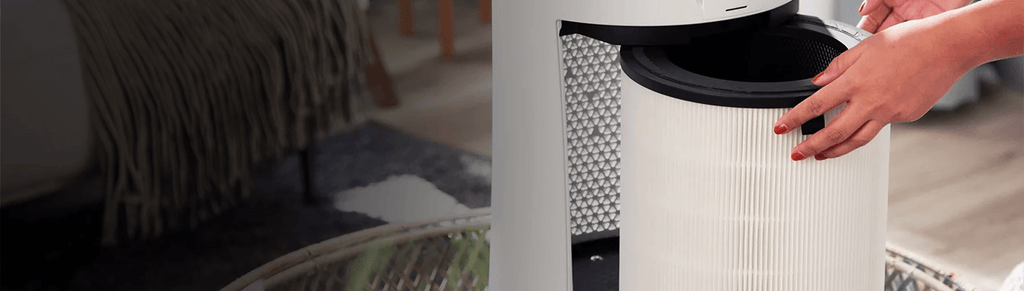 Replacement Filters Levoit