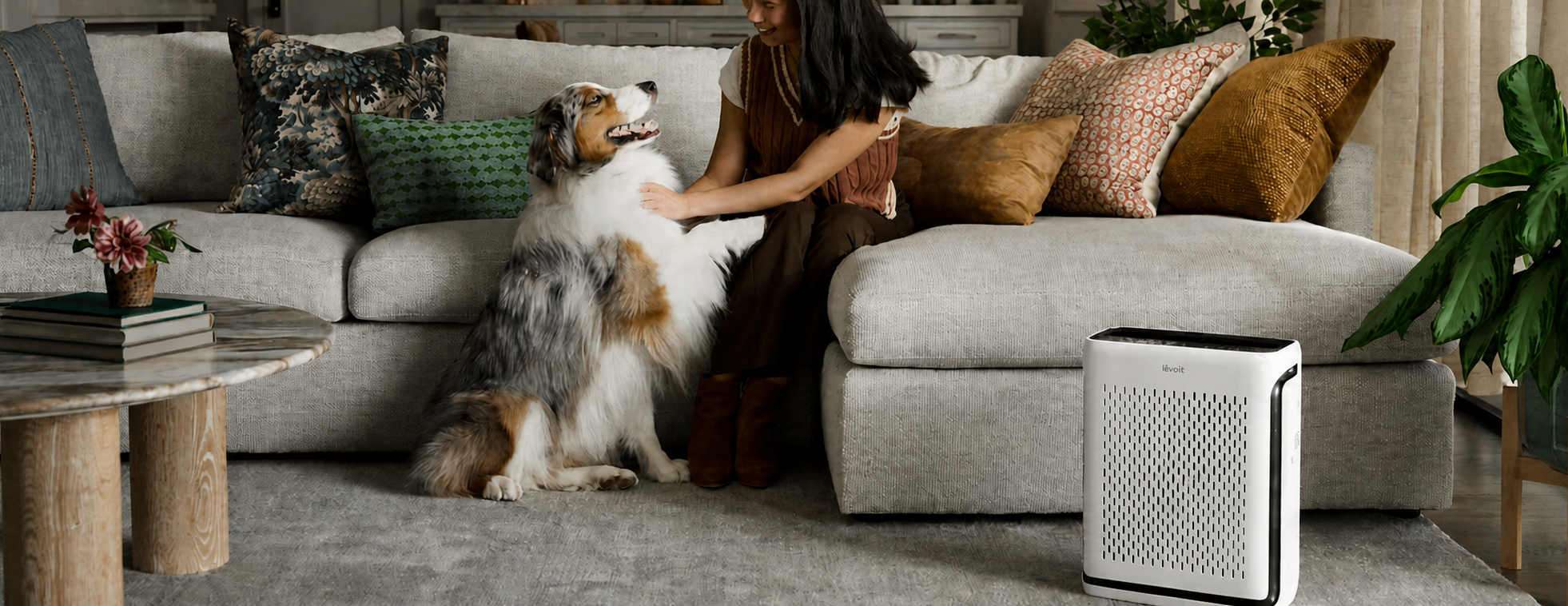 Air Purifiers for Allergies, Pets & Smoke