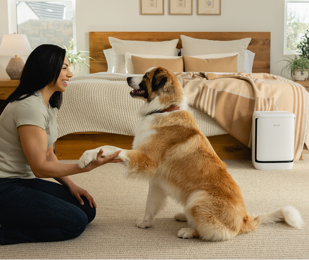 Support Best Friends Animal Society® with Levoit