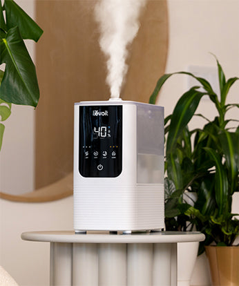  6L Humidifiers for Bedroom Large Room Home, Cool and Warm  Humidifiers for Baby and Plants Mist Top Fill Desk Humidifiers Essential  Oil Diffuser, Quiet Humidifiers with Adjustable Mist,360°Nozzle-White :  Home 
