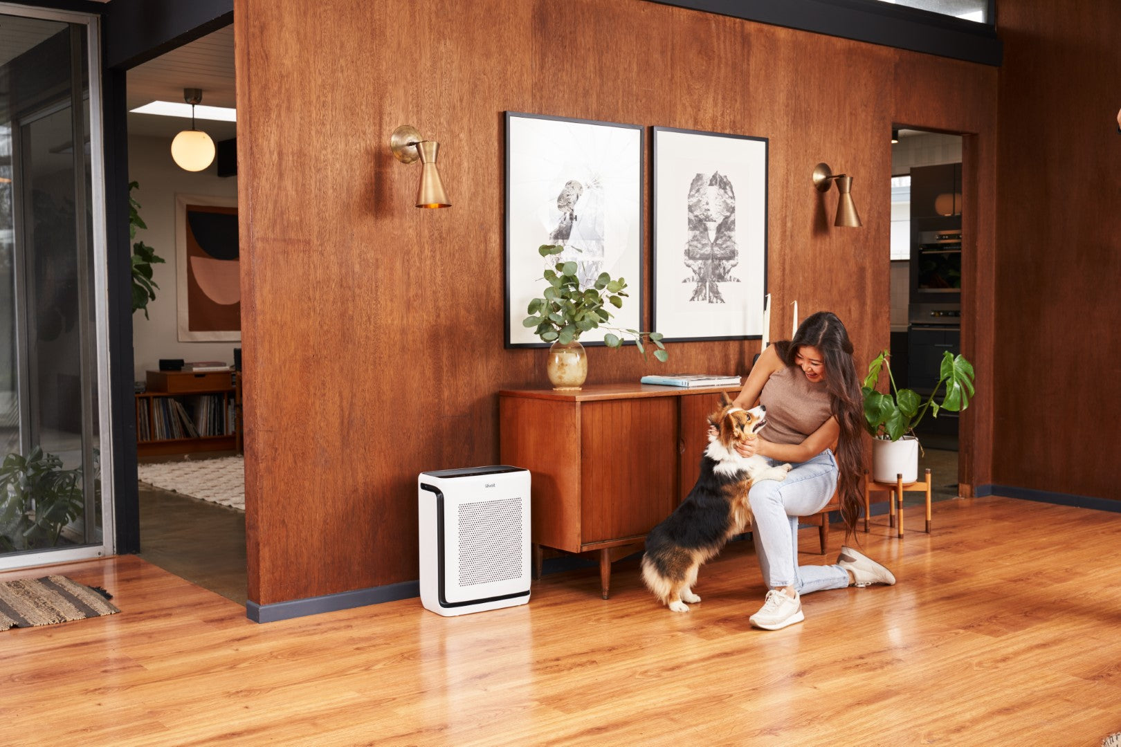 Levoit Vital 200S-P Smart Air Purifier-Pet Mode