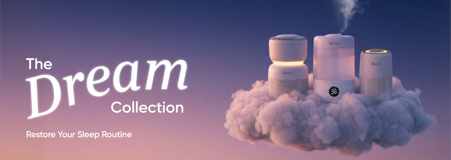 Dream Collection Dream Collection – Levoit