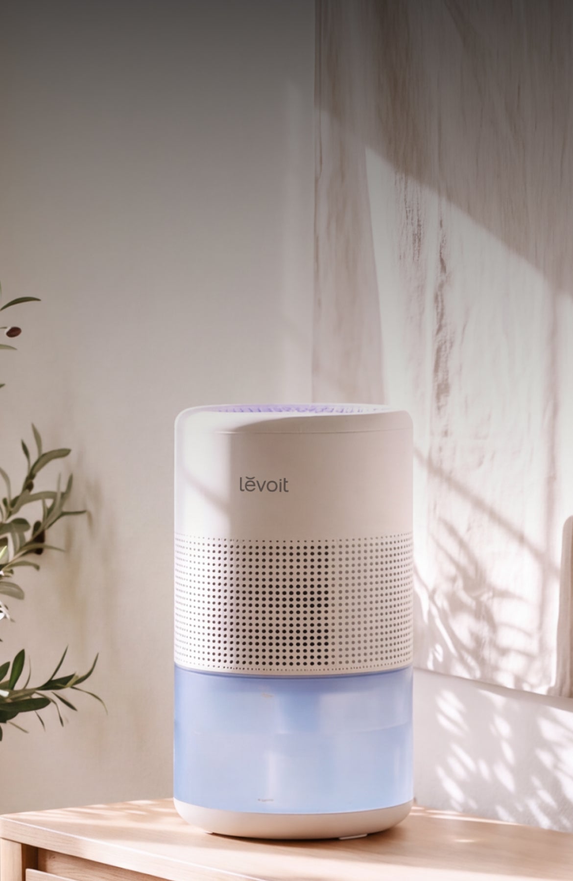 Air Purifiers, Humidifiers, Tower Fans & Vacuums | Levoit