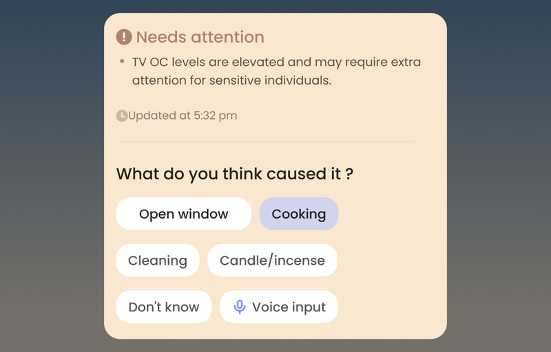 AI Insights