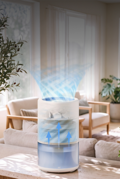 The Natural Way to Humidify Your Air