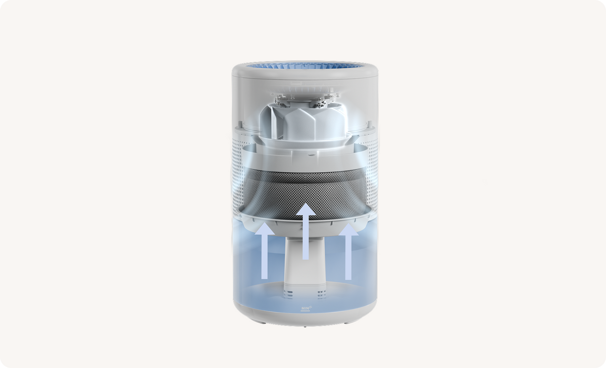 Water Becomes Vapor