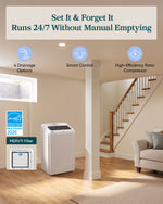 Levoit Smart Dehumidifier with 24/7 Pump Drainage