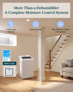 Levoit Smart Dehumidifier with 24/7 Pump Drainage