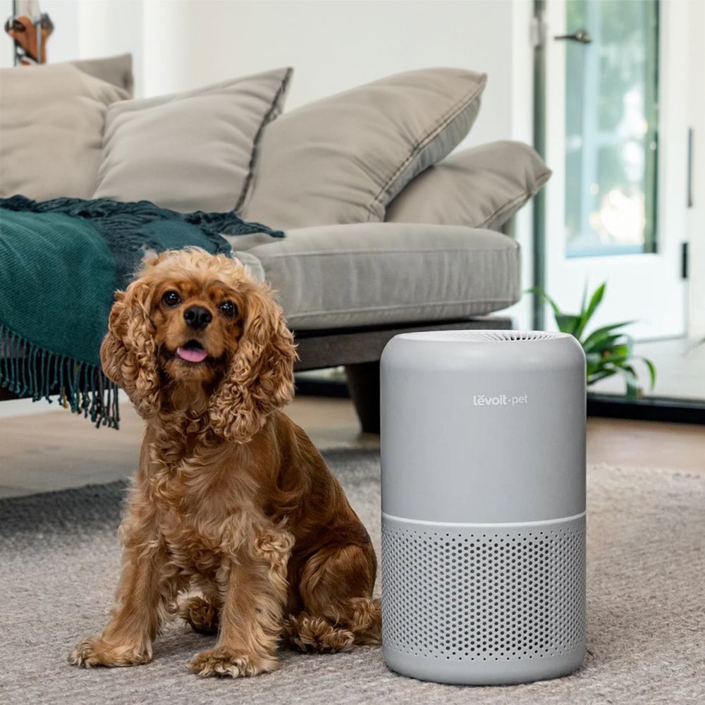 Levoit Core® P350-P Pet Care Air Purifier | Odor & Dander Control