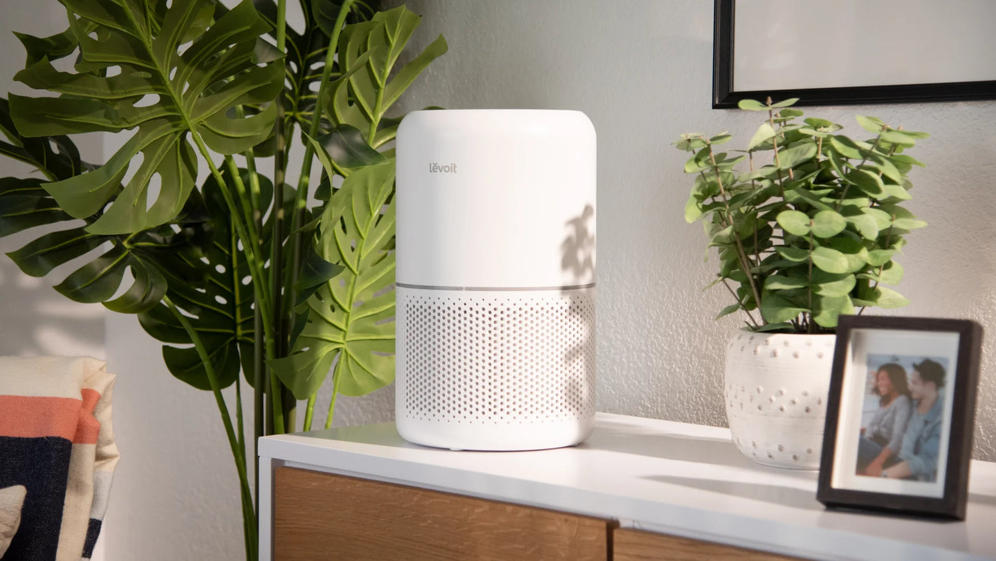 Core 300 Perfect Small Air Purifier Choice Levoit