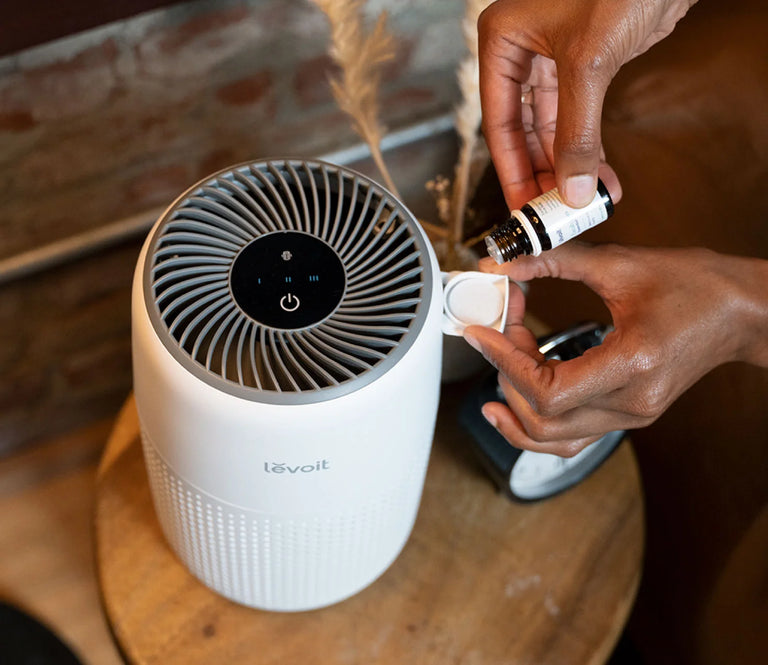 מטהר אוויר Core Mini-P LAP-C161 מבית Levoit