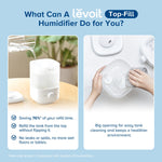 Classic160 Ultrasonic Top - Fill Humidifier - Levoit