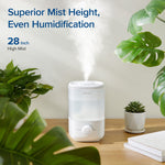 Classic160 Ultrasonic Top - Fill Humidifier - Levoit