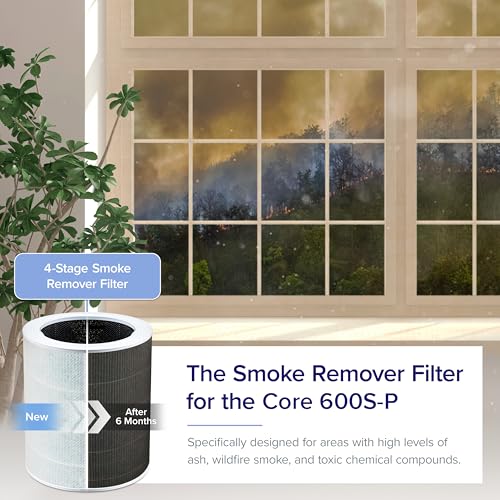 Core 600S Smoke Remover Replacement Filter | Levoit