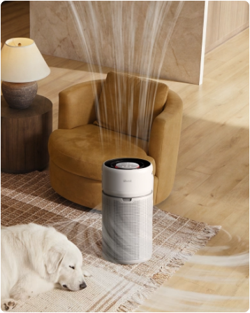 Clean Air in 12.5 Minutes for Large Spaces