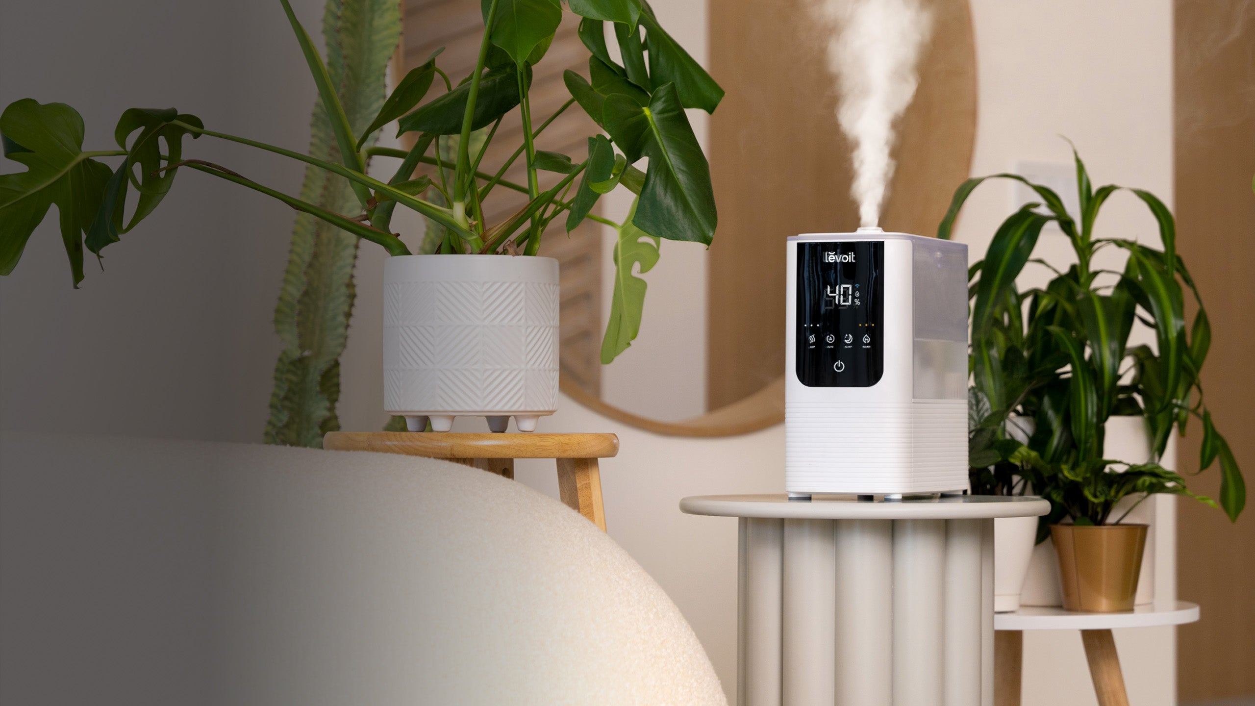 Find Your Ideal Humidifier at Levoit