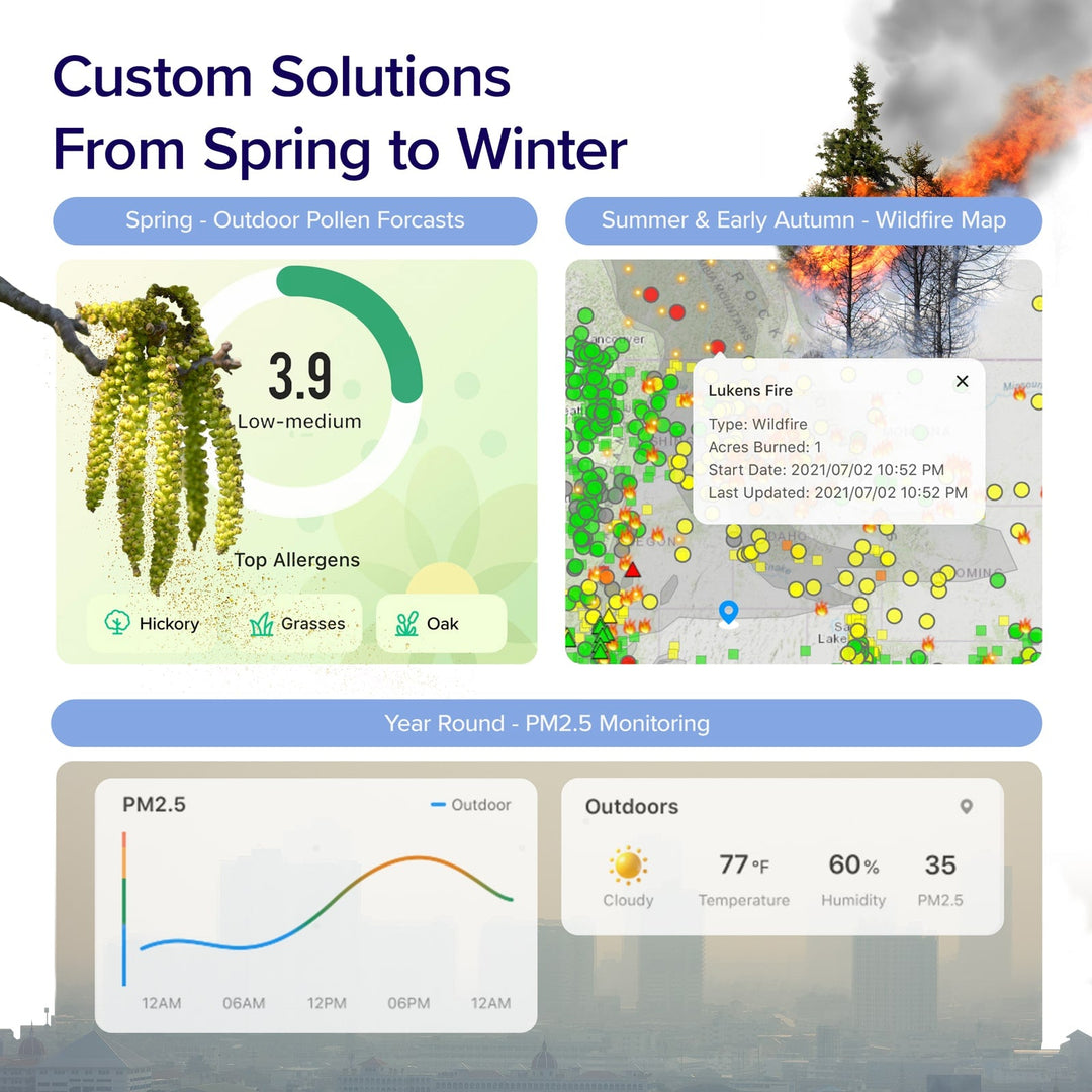 Levoit Core® 200S - P Black Smart Air Purifier - Levoit