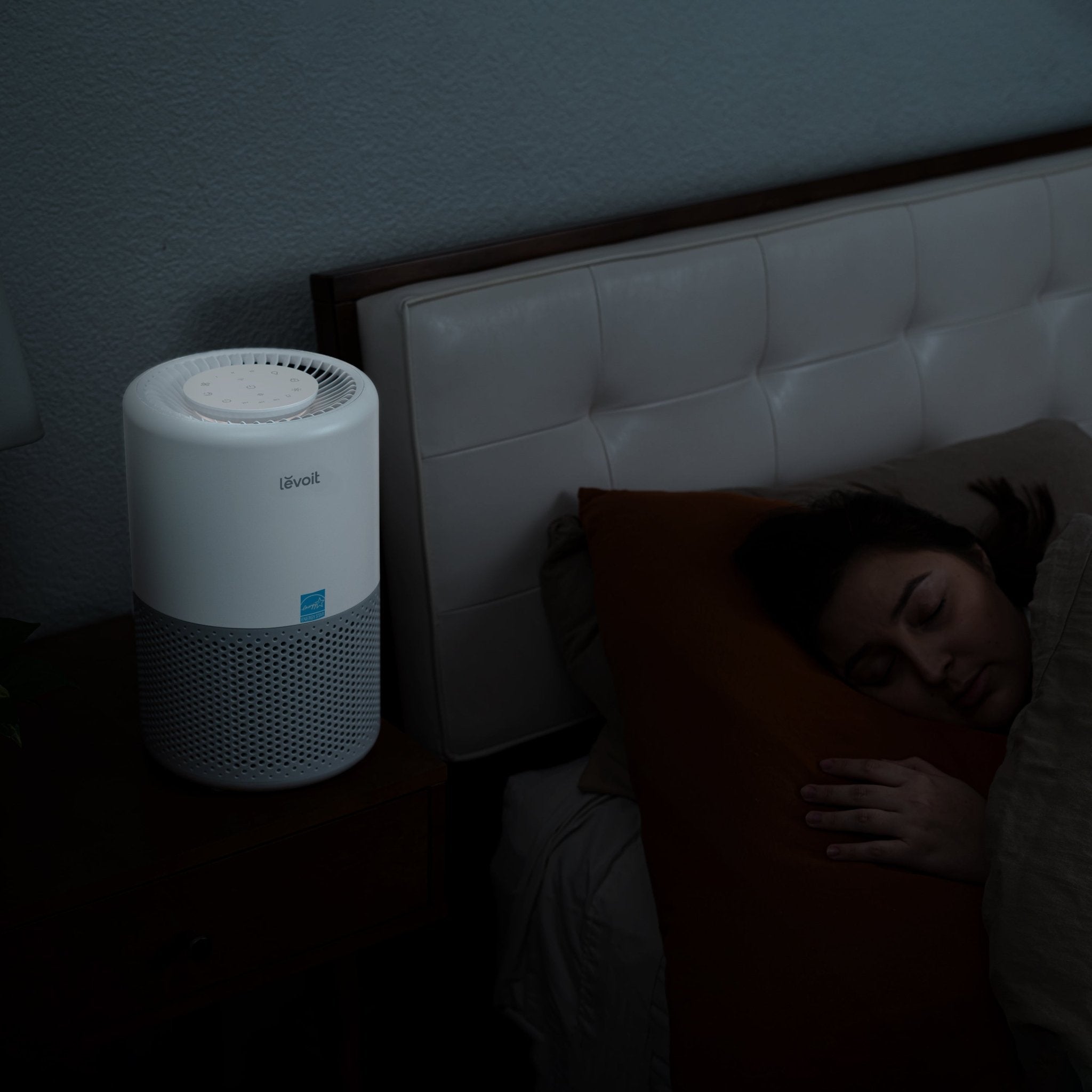 Levoit Core® 200S-P Smart Air Purifier 丨 App & Voice Control