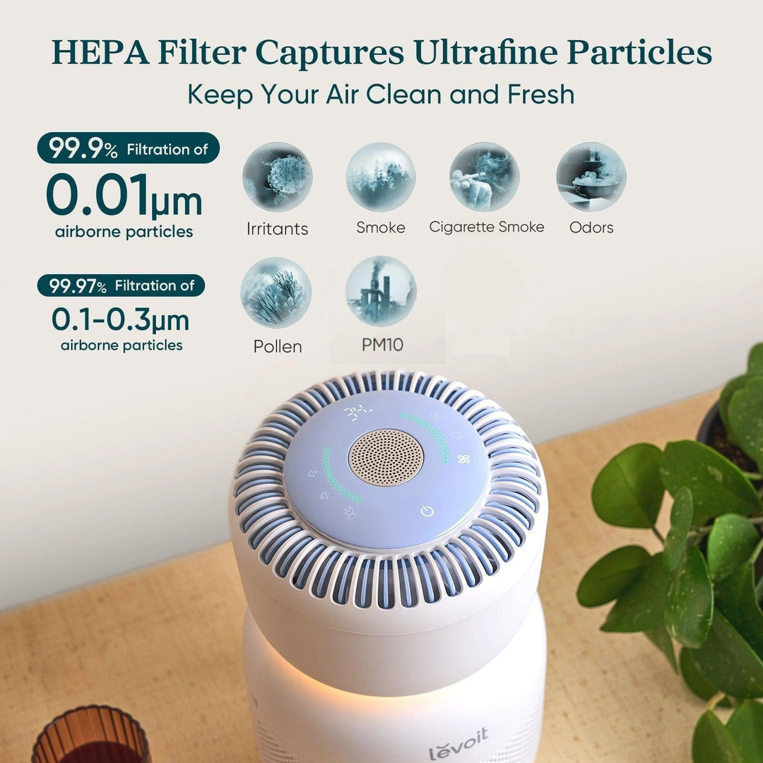 levoit air purifier for cigarette smoke Levoit Sprout Air Purifier levoit air purifier for cigarette smoke Levoit Sprout Air Purifier
