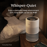 Levoit Superior™ Studio Evaporative Humidifier - Levoit