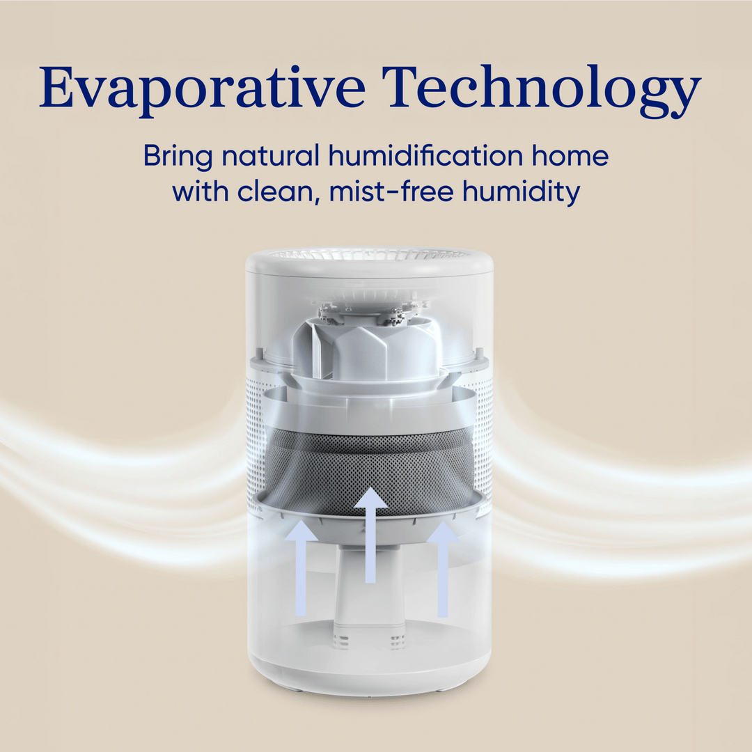 Levoit Superior™ Studio Evaporative Humidifier - Levoit