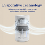 Levoit Superior™ Studio Evaporative Humidifier - Levoit
