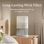 Levoit Superior™ Studio Series Replacement Filter - Levoit