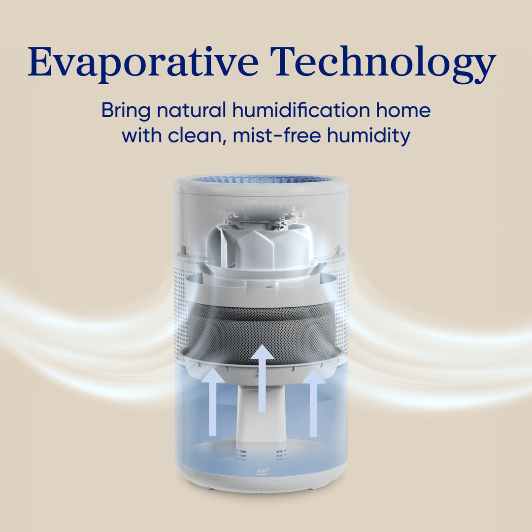 Levoit Superior™ Studio Smart Evaporative Humidifier - Levoit