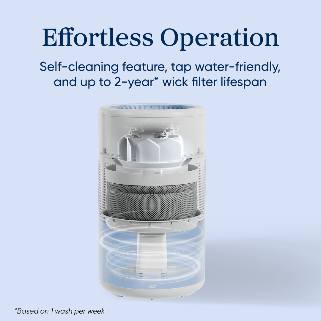 Levoit Superior™ Studio Smart Evaporative Humidifier - Levoit