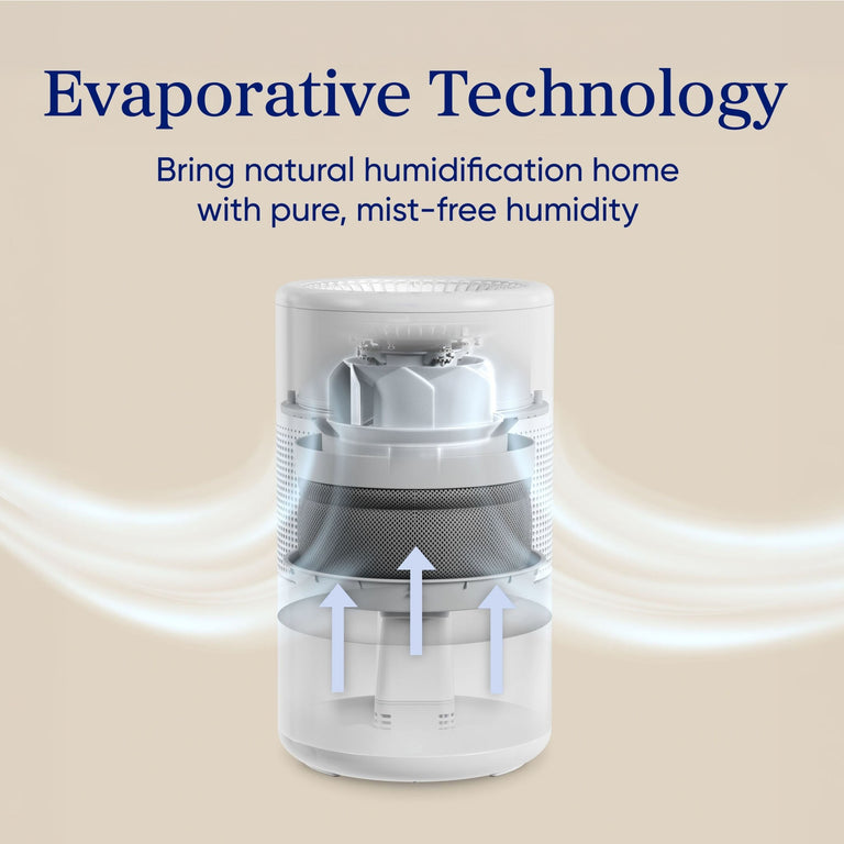 Levoit Superior™ Studio Smart Evaporative Humidifier - Levoit Superior™ Studio Smart Evaporative Humidifier - Levoit
