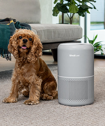 Air purifier deals 300 sq ft