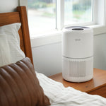 PlasmaPro 300s product with filter bundle - Levoit