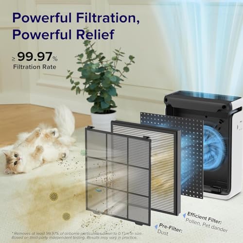 Vital 100S Replacement Filter | Levoit Genuine HEPA