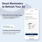 Vital 200S Pet Allergy Carbon Replacement Filter - Levoit