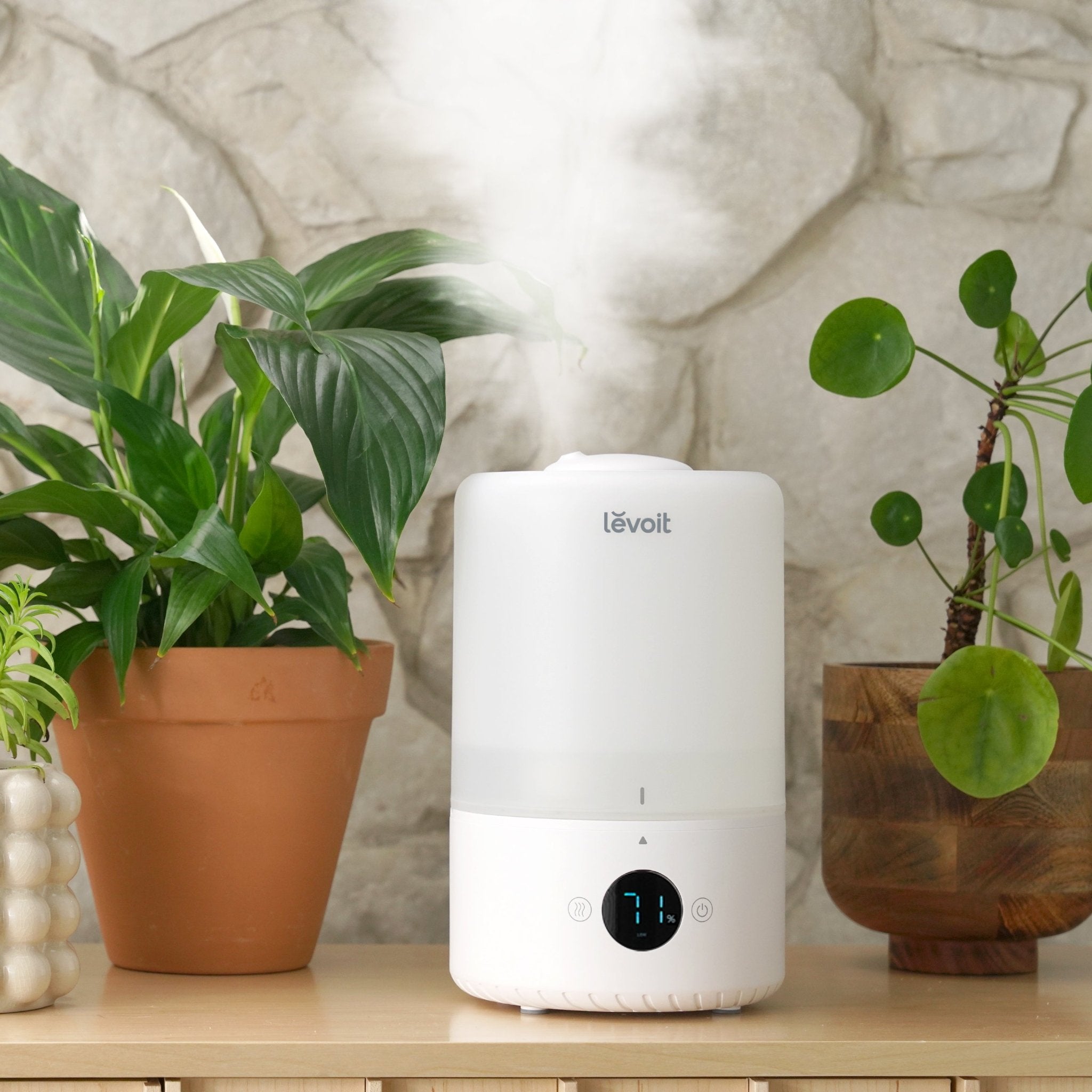 Levoit Dual 200S Smart Top-Fill Humidifier for House