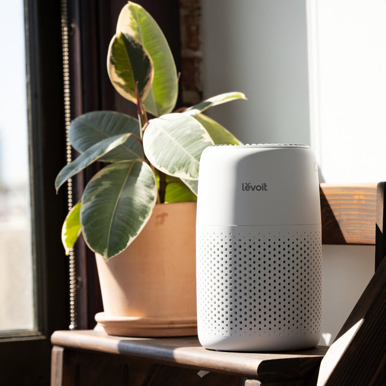 Levoit Core 300S Review: Small and powerful air purification
