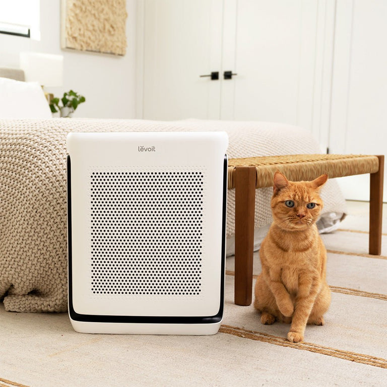 Air Purifier For Home Room H13 HEPA Washable Filter Allergies Pet Odor+6*Filters